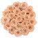 Čajové věčné růže ve velkém béžovém flowerboxu