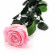 Světle růžová věčná růže - 50 cm
