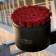 Červené věčné růže v mega černém flowerboxu