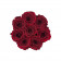 Červené věčné růže v malém černém industrial flowerboxu