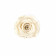 Bílá věčná růže v mini černém industrial flowerboxu