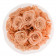 Čajové věčné růže bouquet v bílém flowerboxu