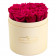 Růžové věčné růže v broskvovém flowerboxu