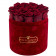 Červené věčné růže v bordovém semišovém flowerboxu