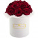 Červené věčné růže bouquet v bílém flowerboxu