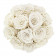 Bílé věčné růže bouquet v bílém flowerboxu