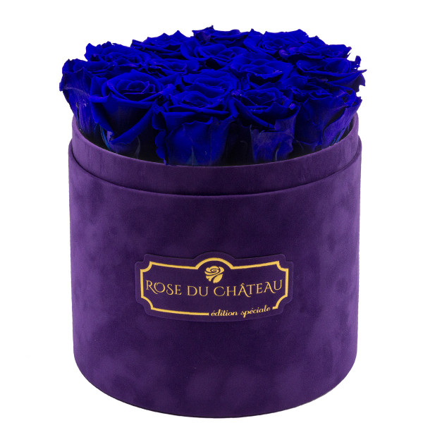 Blaue Ewige Rosen in violetter Beflockter Rosenbox