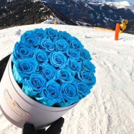 Azurblaue Ewige Rosen in weißer Rosenbox Large