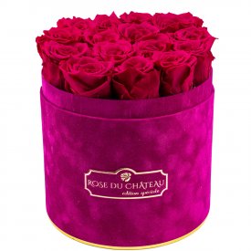 Rote Ewige Rosen in bordeauxroter Beflockter Rosenbox