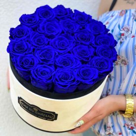 Azurblaue Ewige Rosen in weißer marmorierter Rundbox Large
