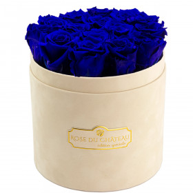 Blaue Ewige Rosen in beigefarbiger Beflockter Rosenbox