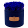 Blaue Ewige Rosen in denim Rosenbox