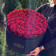 Rote Ewige Rosen in schwarzer Rosenbox Mega