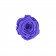 Lavendel Ewige Rose in schwarzer Mini Rosenbox