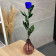 Blaue Infinity Rose - 50 cm