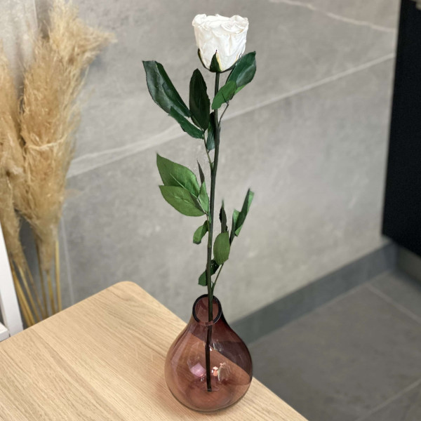 Eternal White Rose - Long Stem 50 cm