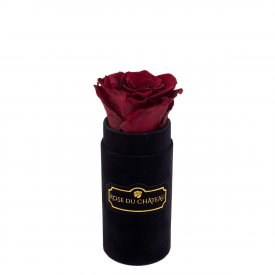 Eternity Red Rose & Mini Black Flocked Flowerbox