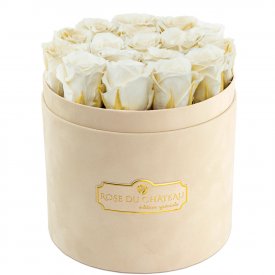 Eternity White Roses & Beige Flocked Flowerbox