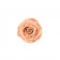 Eternity Peach Rose & Mini Black Flocked Flowerbox