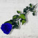 Eternal Blue Rose - Long Stem 50 cm